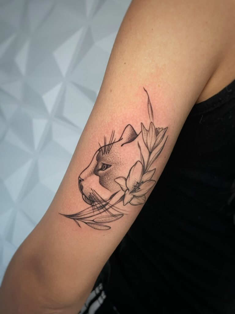 Gatto fine linee